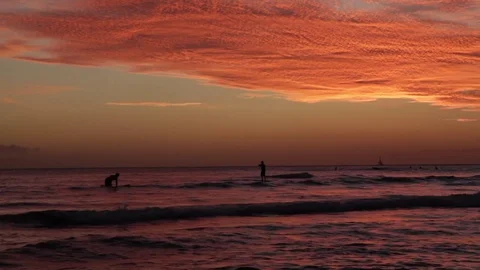 Paddleboarders Silhouetted by Sunset Stock Footage 73151107