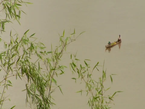 Paddleboat on River in Amazon Jungle Rainforest Stock Footage 112937807
