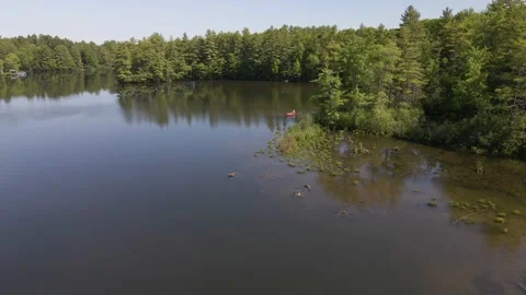 Paddler in River Видео 169607907