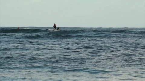 Paddlesurfers Stock Footage 9455661