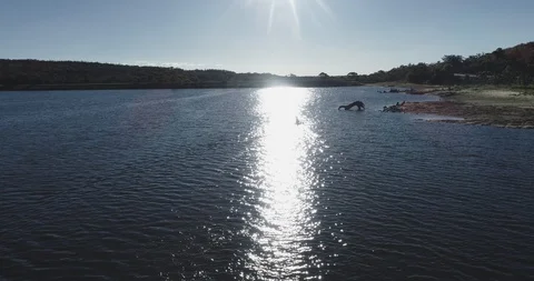 Paddling across the sunset in a canoe Stock Footage 100615364