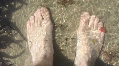 Paddling barefoot In The Sea On Golden S... | Stock Video | Pond5
