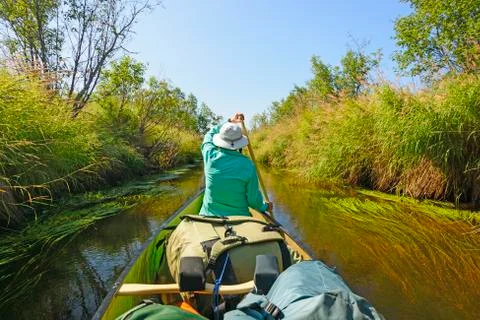 Paddling Down a Wilderness River Stockfoto's