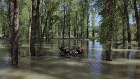 Paddling Flooded Forest aboard a Hammocraft I Stock Footage 85577796
