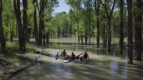 Paddling Flooded Forest aboard a Hammocraft II Stock Footage 85578247