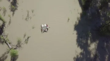 Paddling Flooded Forest aboard a Hammocraft III Stock Footage 85625007