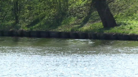 Paddling Stock Footage 696914