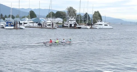 Paddling Stock Footage 94842011