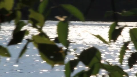 Paddling Kayak Stock Footage 8766347