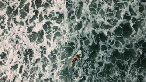 Paddling longboard in waves 스톡 동영상 288259990