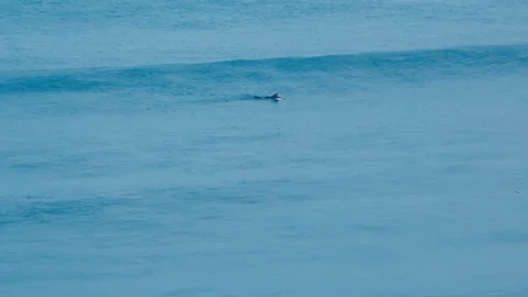 Paddling Outside Video stock 108926374