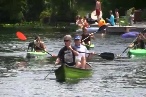 Paddling on the wekiva river Stock Footage 153478301