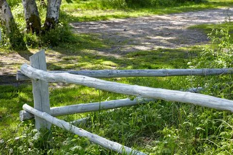 A paddock of white painted tree trunks at the sunny edge of a forest Stock Photos