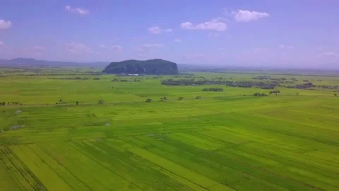 Paddy and mountain Stock Footage 155159352