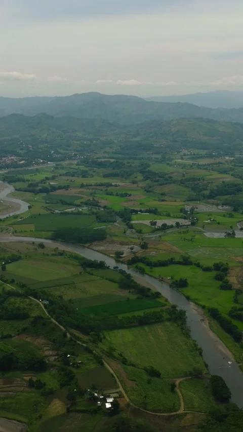 Paddy farmlands in the Philippines. Stock Footage 274368398