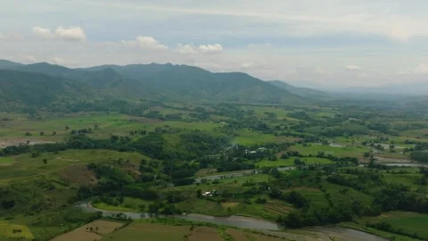 Paddy farmlands in the Philippines. Stock Footage 310481264