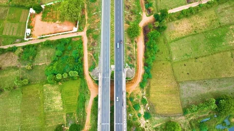 Paddy Field and Bridge - Drone Shot Stock Footage 254269428
