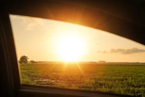 Paddy field with background sunset, view from the window car Stock Photos