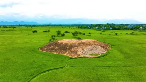 Paddy Field - Backwards Shot By a Drone Stock-Footage 265863728