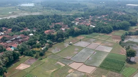 Paddy Field in Cieulengsi, West Java, Indonesia Stock Footage 150814715