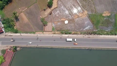 Paddy Field in Cieulengsi, West Java, Indonesia Stock Footage 150841437