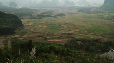 Paddy field at dusk Stock Footage 58085308