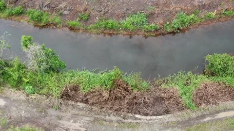 Paddy field Video stock 302185892