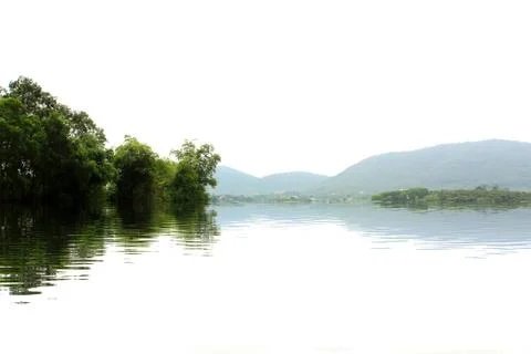 Paddy field Stock Photos