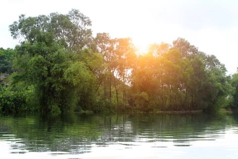 Paddy field Stock Photos