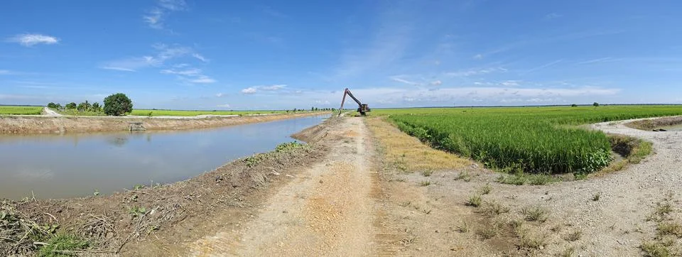 Paddy field Stock Photos