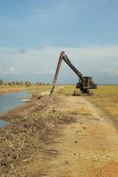  Paddy field Foto stock