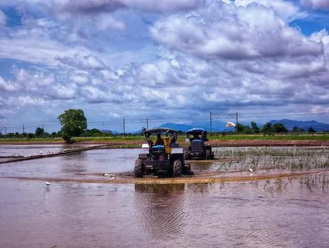 A paddy field tractor Foto stock