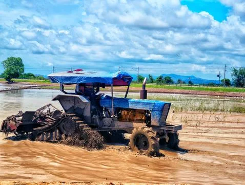 Paddy Field Tractor Stock Photos