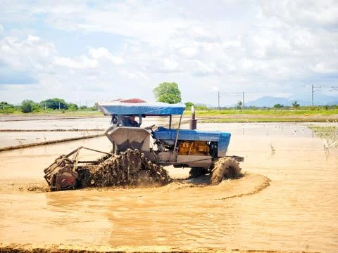 Paddy Field Tractor Stock Photos
