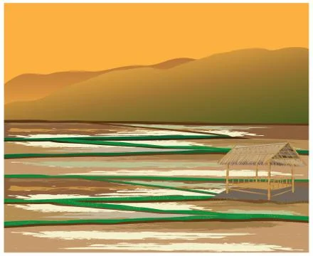 Paddy field vector design Stock Illustration