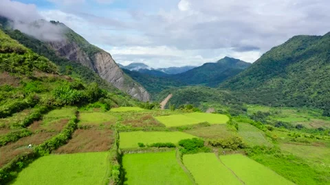 Paddy fields and palm trees in the mountains. Stock Footage 342536447