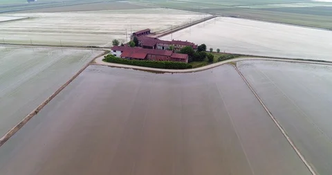 Paddy fields Stock Footage 90277916