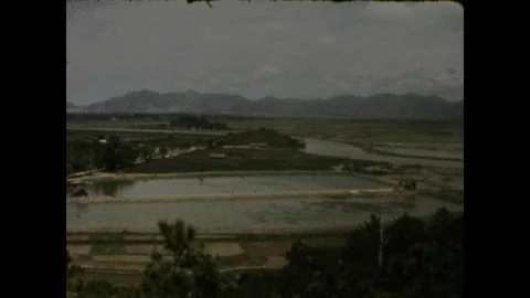 Paddy Fields Hong Kong Stock Footage 251905948