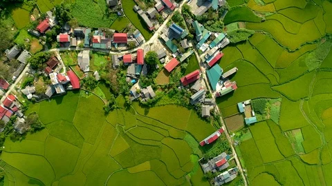 Paddy fields located in Tam Son town Stock Footage 96137375