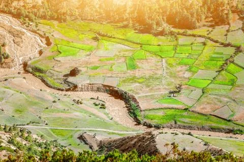 Paddy fields in Nepal Fotos Stock