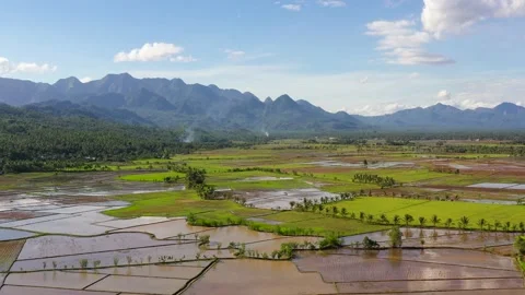 Paddy fields in the Philippines. Mountain landscape with green hills and Stock Footage 145586517