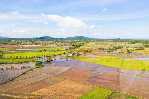Paddy fields in the Philippines. Mountain landscape with green hills and farm Stock Photos
