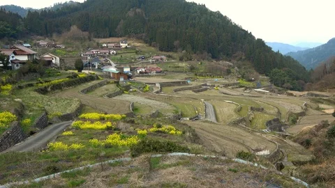 Paddy Fields, Rice Terraces in Hiroshima, Japan, 4K Stock Footage 105570340