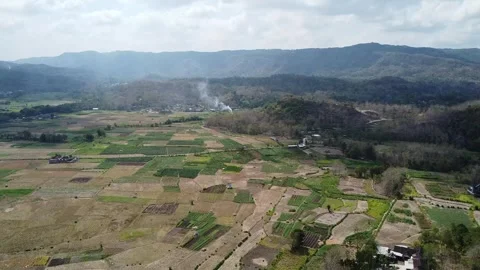 Paddy Fields in Rolling Hills Video stock 284897161