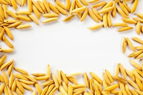 Paddy frame Foto stock