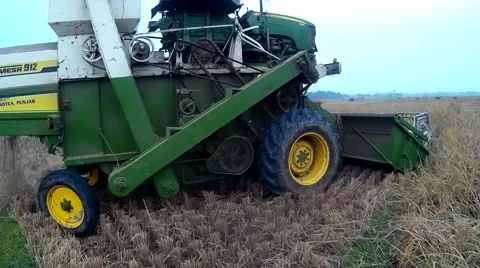 Paddy harvesting by machine Stock Footage 60450267