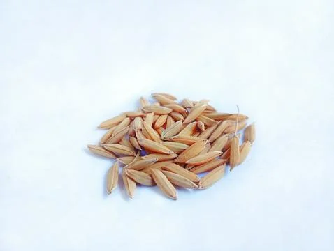 Paddy Stock Photos