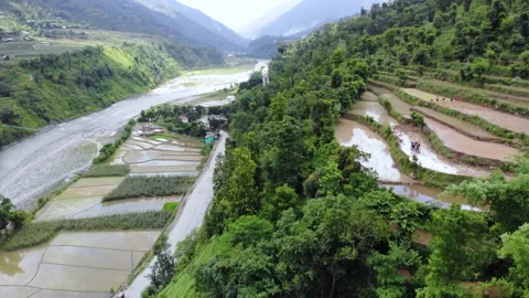 Paddy planted beautiful mountain fields in west Nepal, aerial drone video Video stock 155278112