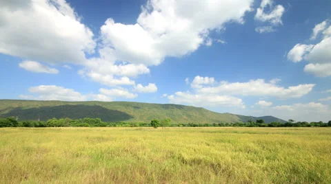 Paddy rice field, Mountain and Cloud running background, time lapse 4K Stock Footage 44122931