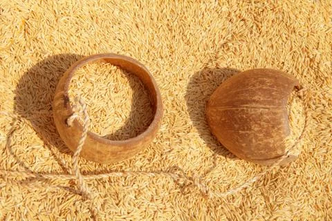 Paddy rice Stock Photos